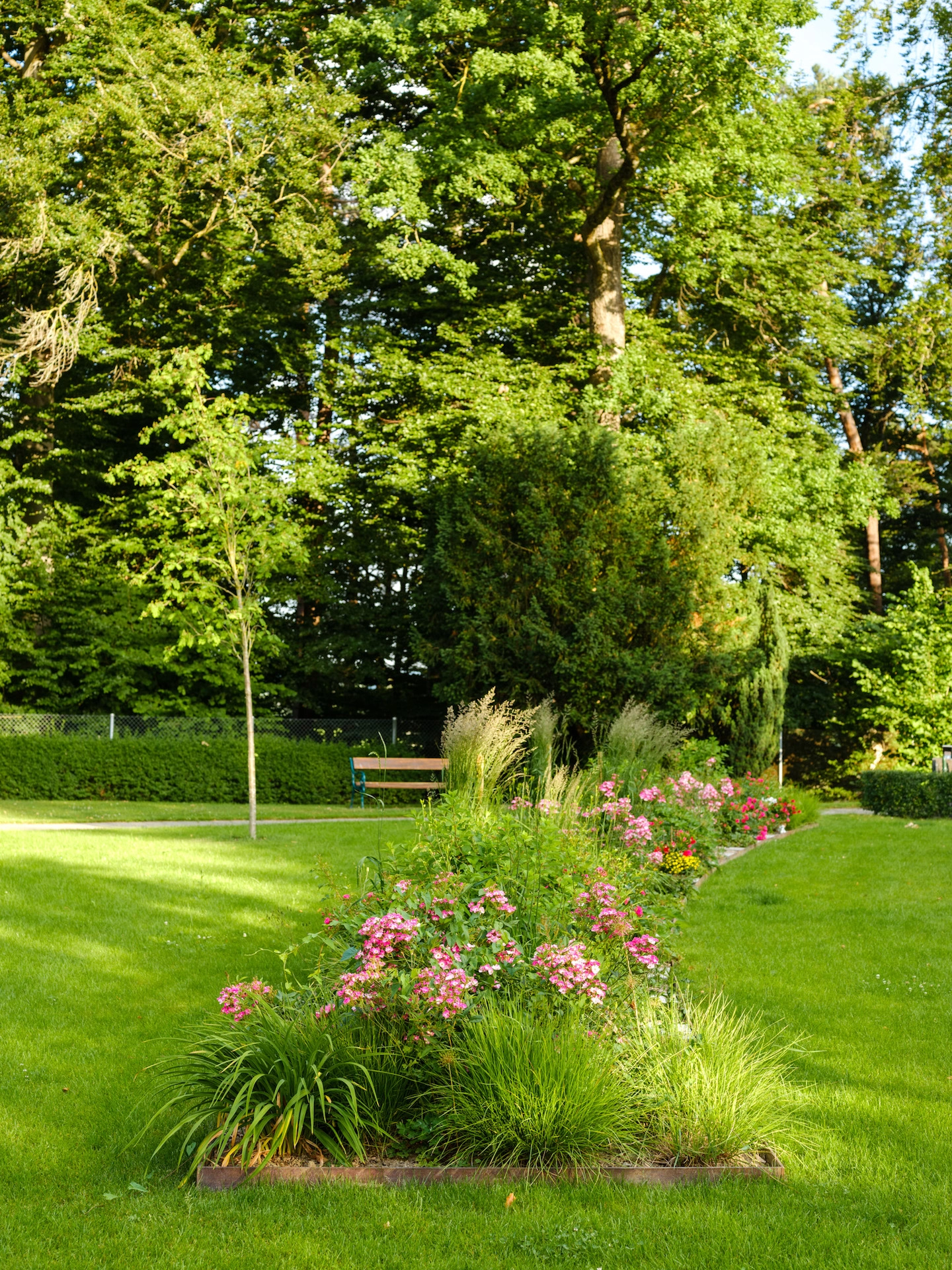 201803 Friedhof Zollikofen Bild 1