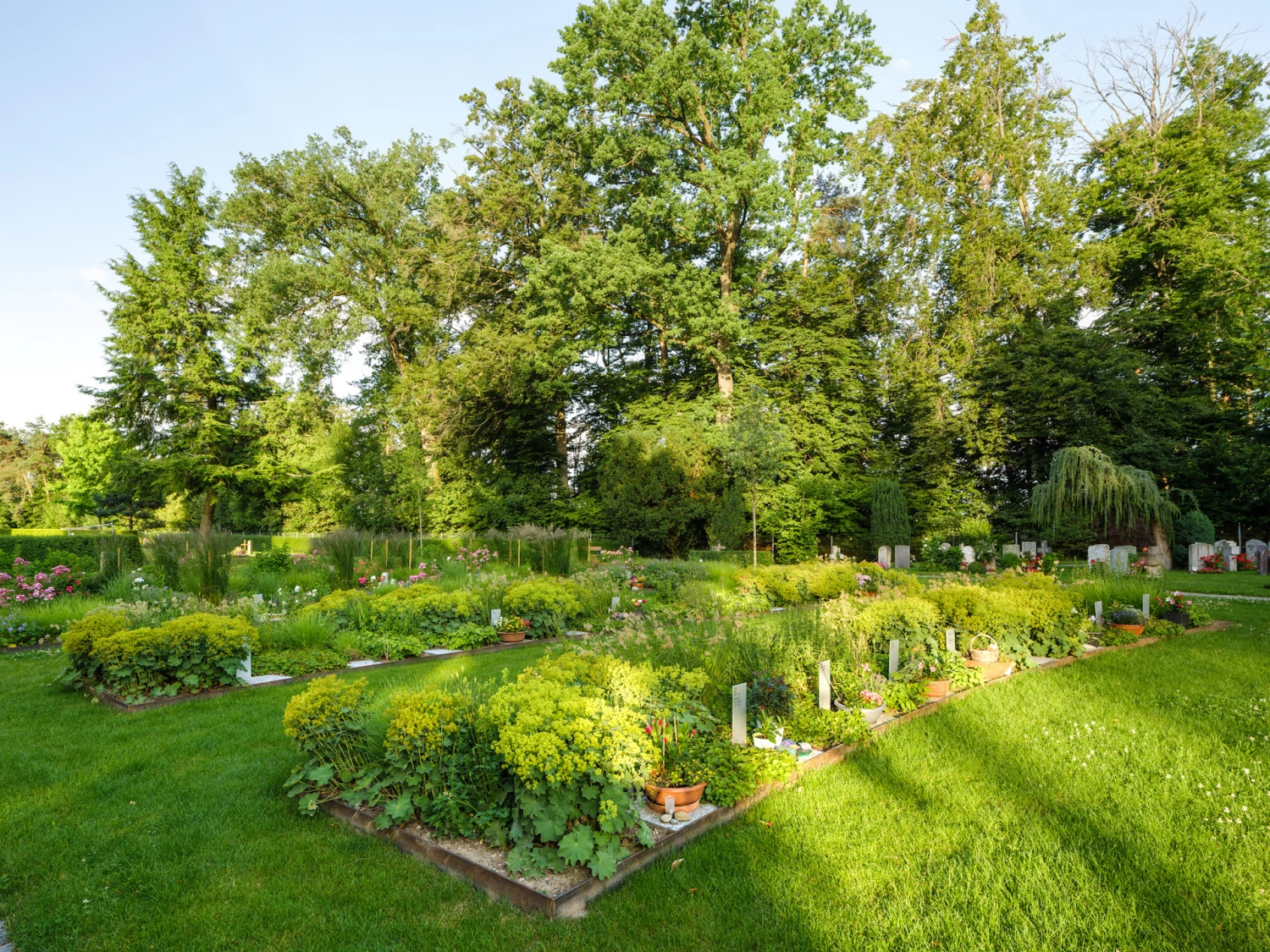 201803 Friedhof Zollikofen Bild 1