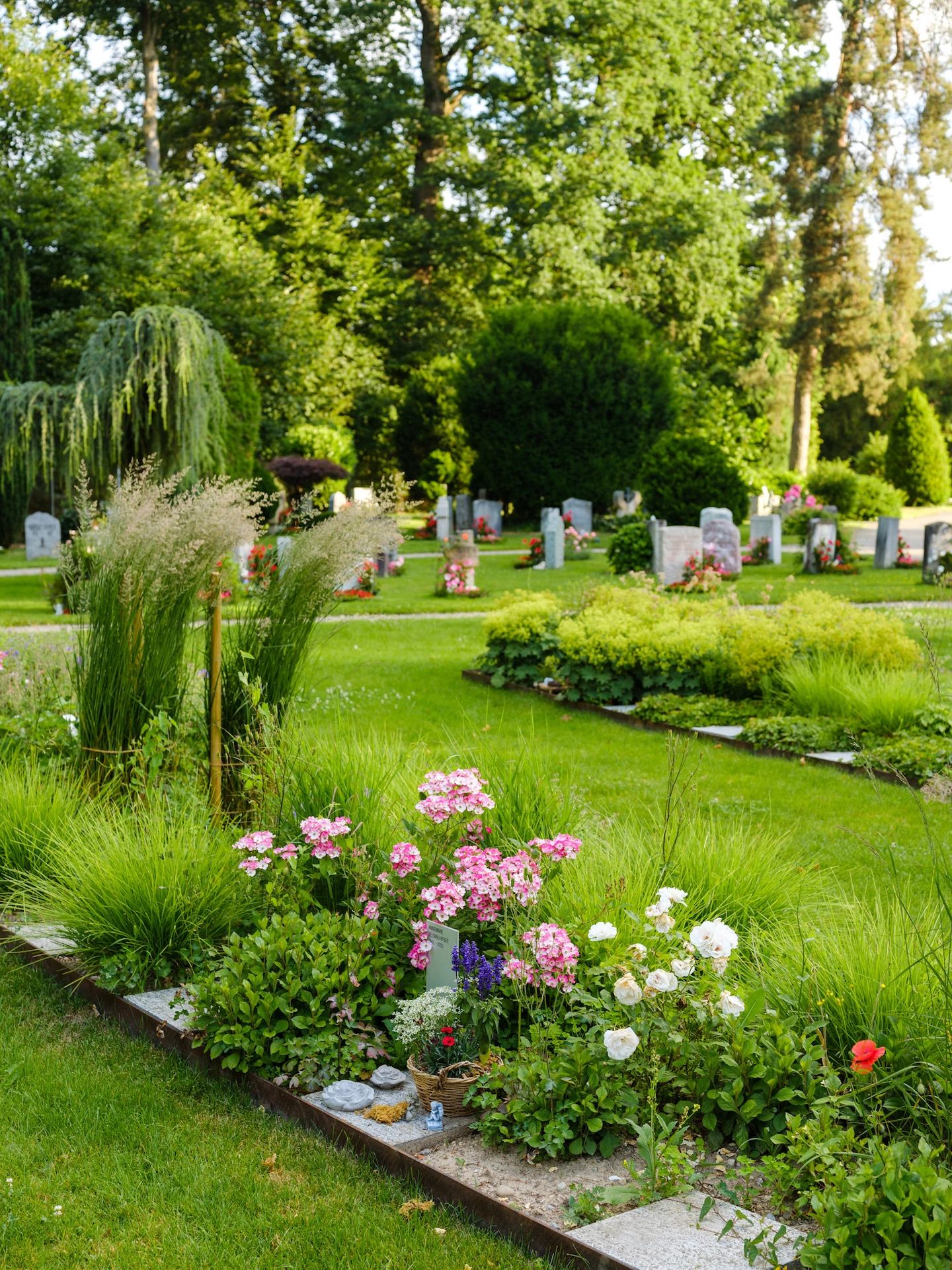 201803 Friedhof Zollikofen Bild 1