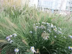 201426 Spital Merlach Murten Bild 4*