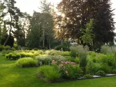 201803 Friedhof Zollikofen Bild 1