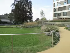 201426 Spital Merlach Murten Bild 4*