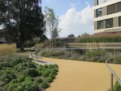 201426 Spital Merlach Murten Bild 4*